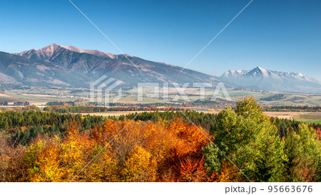 Autumn landscape with colorful trees and high peaks at background 95663676