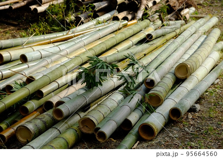 竹の伐採 95664560