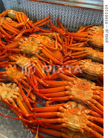 【新潟県糸魚川市】 日本海側最大級のベニズワイガニ直売所 かにや横丁 道の駅「マリンドリーム能生」 【新潟県糸魚川市】 日本海側最大級のベニズワイガニ直売所 かにや横丁 道の駅「マリンドリーム能生」 95665104