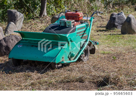 芝生広場の草刈り作業 芝生広場の草刈り作業 95665603