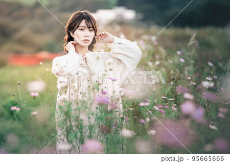 夕方にコスモス畑で立っている女性 95665666