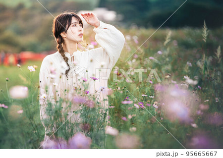 夕方にコスモス畑で立っている女性 夕方にコスモス畑で立っている女性 95665667