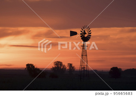 Pampas sunset landscape, La pampa, Argentina 95665683