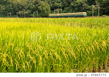 頭を垂れる稲穂の横を通過する三岐鉄道の列車 頭を垂れる稲穂の横を通過する三岐鉄道の列車 95665774