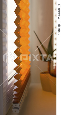 Pleated blinds with orange folded fabric on the window close up. On the windowsill stands home plant in yellow flower pot. Cordless bottom up top down pleated shade with white lower bar. 95666014