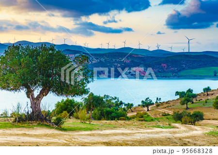 Andalucia with wind turbines on hill, Spain Andalucia with wind turbines on hill, Spain 95668328