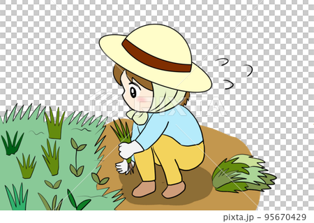 Women weeding 95670429