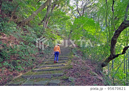 福岡県苅田町の里山等覚寺にある白山多賀神社参道を歩く人物 福岡県苅田町の里山等覚寺にある白山多賀神社参道を歩く人物 95670621