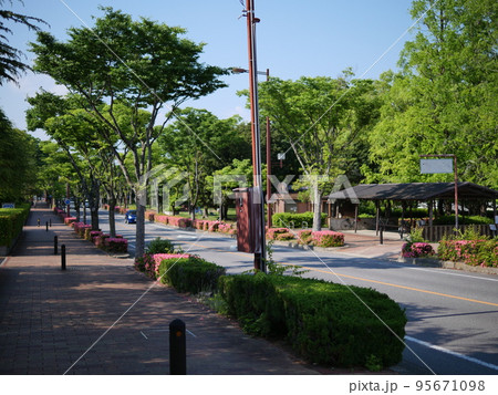 新緑の愛知県豊田市・枝下緑道 新緑の愛知県豊田市・枝下緑道 95671098