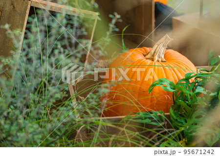 ハロウィン・晩秋イメージ 95671242