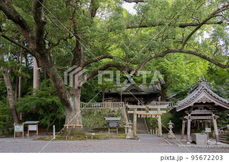 事任八幡宮 事任八幡宮 95672203
