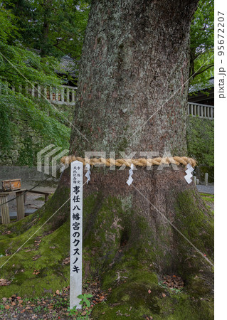 事任八幡宮 事任八幡宮 95672207
