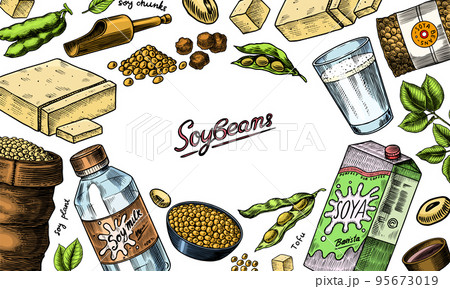 Soya beans. Milk and tofu. Soybean sketch. Pod on plant. Nuts and seeds in sack. Detailed vegetarian 95673019