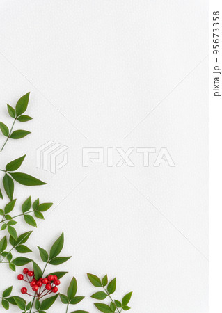 白い和紙に南天の葉と万両の赤い実の背景 95673358
