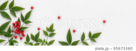 白い和紙に南天の葉と万両の赤い実の背景 95673360