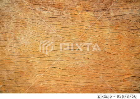 Photography using the top-down shooting method to see the details of the object, The surface of the old wood has cracks. Used as a natural background, texture of bark wood use as natural background. 95673756
