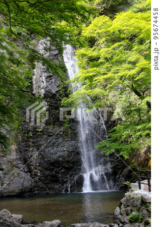 箕面の滝 95674458