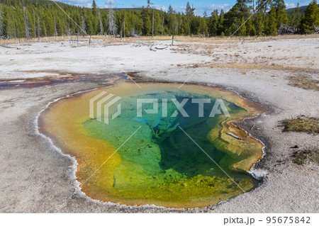 Yellowstone 95675842