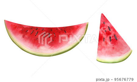 Watercolor illustration of hand-drawn fruits isolated watermelon Watercolor illustration of hand-drawn fruits isolated watermelon 95676779