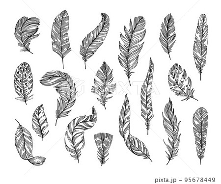 Sketch ethnic feathers. Hand drawn bird feather, light and soft plume. Tribal line art vector illustration set Sketch ethnic feathers. Hand drawn bird feather, light and soft plume. Tribal line art vector illustration set 95678449