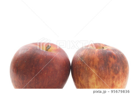 りんご　シナノドルチェ　白バック 95679836