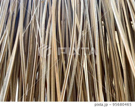 Background, texture of natural dry yellow straw for the roof Background, texture of natural dry yellow straw for the roof 95680465