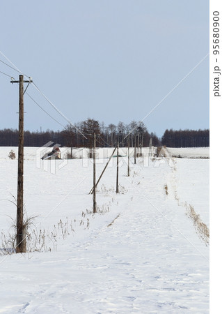 北海道　十勝地方　牧場のある風景（冬） 95680900