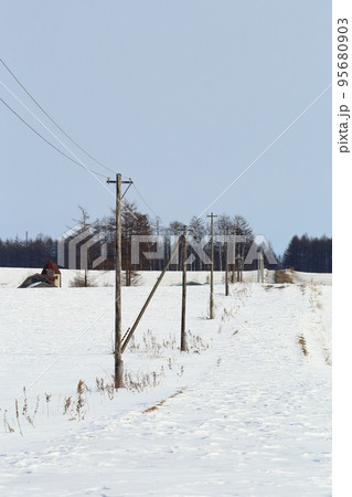 北海道　十勝地方　牧場のある風景（冬） 95680903