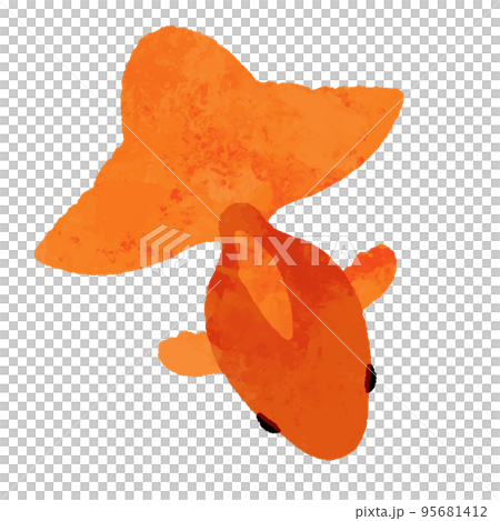 水彩風の上から見た赤色の金魚 95681412