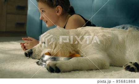 Young girl lies with dog Young girl lies with dog 95681868