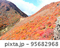 みごとな紅葉 95682968