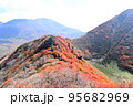 稜線の紅葉 95682969