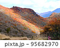 山の紅葉 95682970