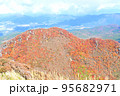 山一面紅葉 95682971
