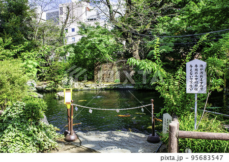 東京都　愛宕神社（あたごじんじゃ） 境内の池 95683547