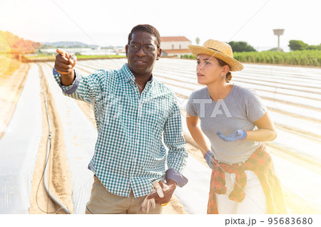 Man and woman farmers talking on vegetable field Man and woman farmers talking on vegetable field 95683680