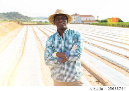 African american farmer standing in field covered with polyethylene mulch 95683744