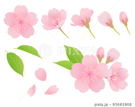 桜パーツ素材_セット 95683908