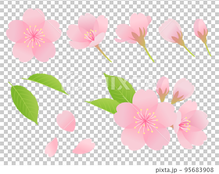 桜パーツ素材_セット 95683908