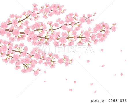 満開の桜 95684038
