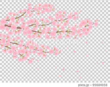 満開の桜 95684038