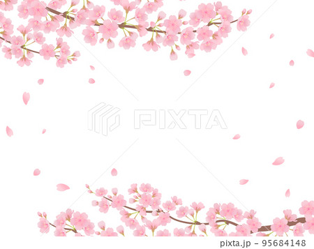満開の桜_フレーム 95684148