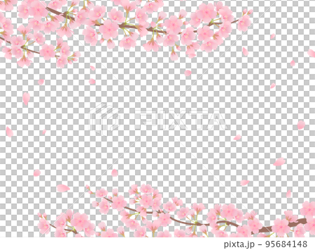 満開の桜_フレーム 95684148