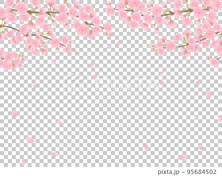 満開の桜_フレーム 95684502