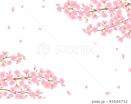 満開の桜_フレーム 95684732