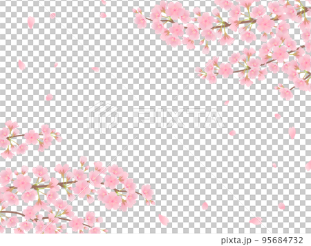 満開の桜_フレーム 95684732