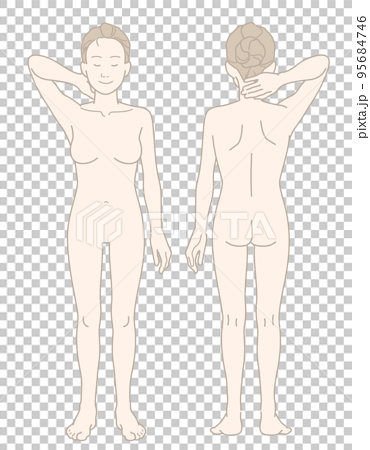 腕を挙げた裸の女性のシンプルな全身図（前面背面セット） 95684746