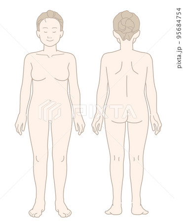ぽっちゃり体型な女性の裸の全身イラスト（前面・背面セット） 95684754