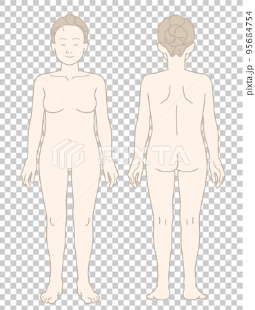ぽっちゃり体型な女性の裸の全身イラスト（前面・背面セット） 95684754
