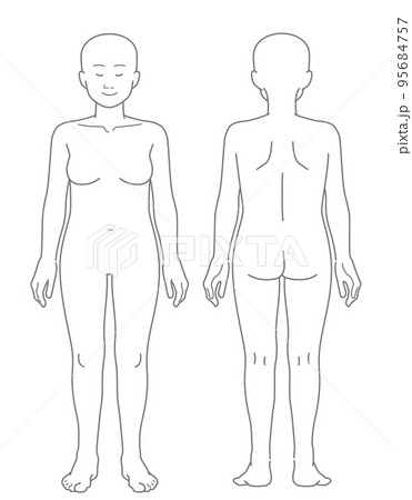 【頭髪なし】ぽっちゃり体型な女性の裸の全身イラスト（前面・背面セット） 95684757